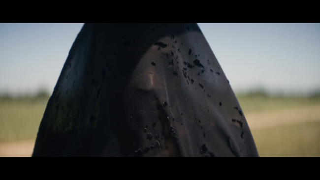 The Woman in the Yard