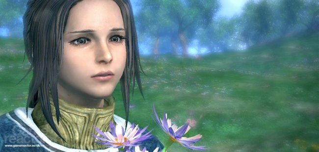 The Last Remnant