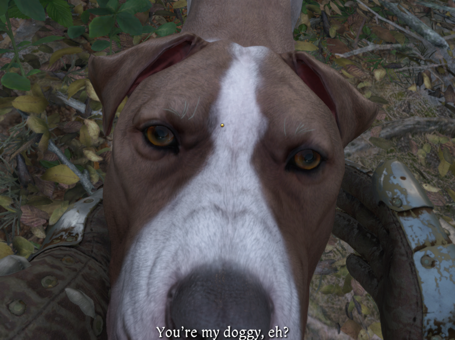 Kingdom Come: Deliverance II