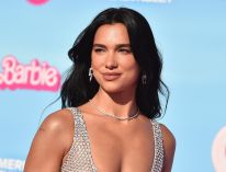 media/54/dualipagranted_4625483t.jpg