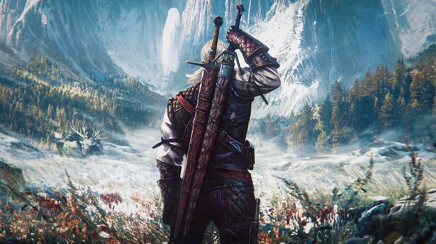 The Witcher 3: Wild Hunt