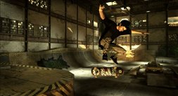 media/56/nyetonyhawk_295651t.jpg