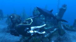media/57/tombraider_155792t.jpg