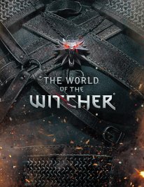 media/58/witcher_bibelnworldwitcher_1215854t.jpg