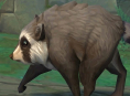 Viraaliksi noussut pesukarhu Jimothy saapuu World of Warcraft