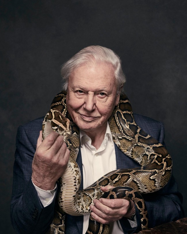 Pornhubin etsityin näyttelijä paljastaa salaisen ihastuksensa: David Attenborough