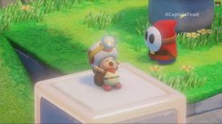media/63/captaintoad_1186314t.jpg