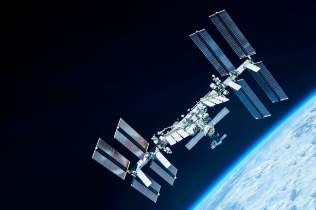 Tutkijat lähettivät sammalta avaruuden tyhjiöön... Tänään he paljastavat, että se selvisi 283 päivää