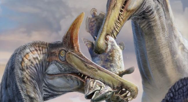 Ensimmäinen uusi Spinosaurus-laji sitten vuoden 1915 nimettiin uudessa raportissa, ja sillä oli saksiharjan muotoinen harja