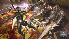 media/70/ninjagaiden2_billeder_147036t.jpg