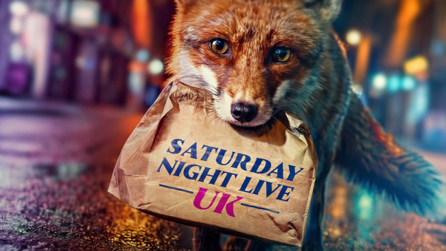 Saturday Night Live