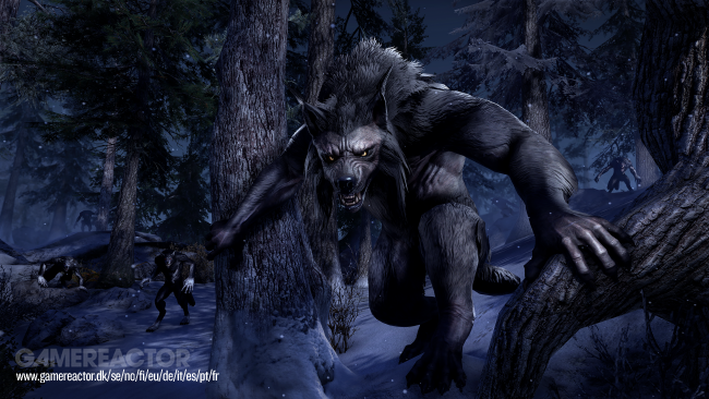 The Elder Scrolls Online: Greymoor