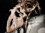 T-Rex-fossiilin odotetaan myyv&auml;n huutokaupassa miljoonilla, mutta tutkijat eiv&auml;t ole tyytyv&auml;isi&auml;