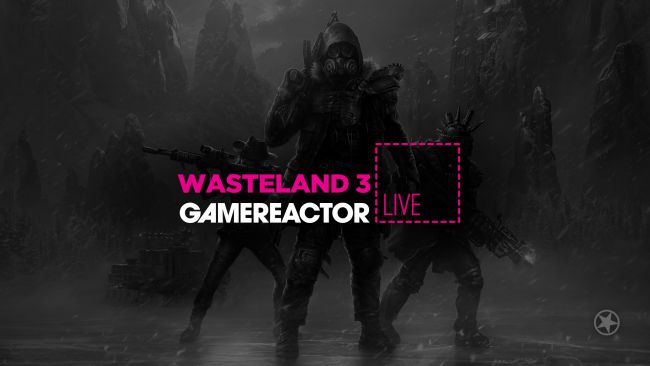 Wasteland 3