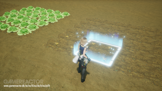 Harvestella