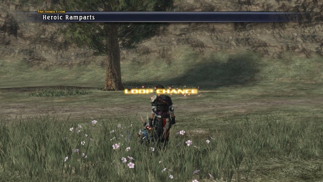 The Last Remnant