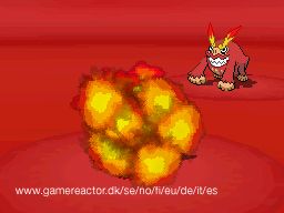 Pokémon Black/White