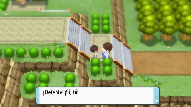 Pokémon Brilliant Diamond/Shining Pearl