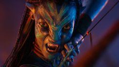 media/86/avatar_4618683t.jpg