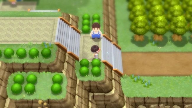 Pokémon Brilliant Diamond/Shining Pearl