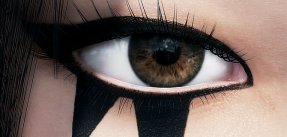 media/87/detaljermirrorsedge_1088714t.jpg