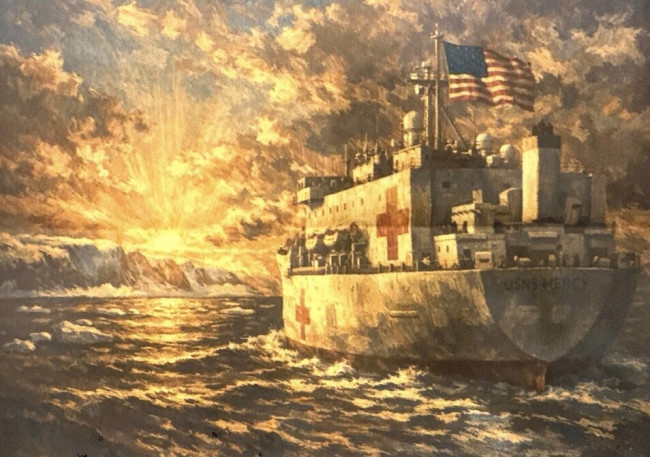 Trump tarjoaa sairaalalaivaa Grönlannille, mutta Grönlannin pääministeri sanoo "ei kiitos"