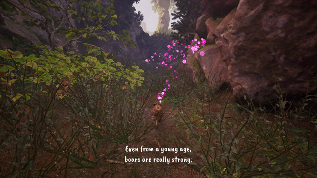 Adorable Adventures