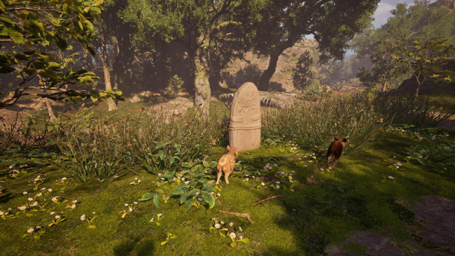 Adorable Adventures