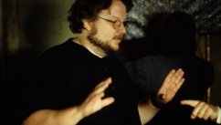 media/88/deltoro_spelavtacks_228860t.jpg