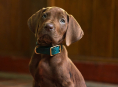 Scooby-Doo on oikea koira Netflixin live-action-esiosa-sarjassa Scooby-Doo: Origins