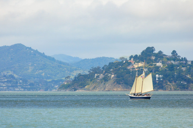 Yksi kuollut ja useita kadonneita veneen kaatumisen seurauksena San Franciscon lahdella