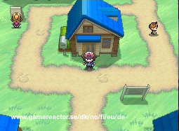 Pokémon Black/White