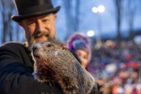 media/89/punxsutawneyphilpredicts_4798953t.jpg