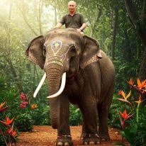 media/97/russiaelephants_4489713t.jpg